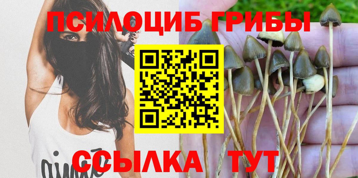 Галлюциногенные грибы прущие грибы  Вход с VPN  Галлюциногенные грибы мухоморы  Севастополь 