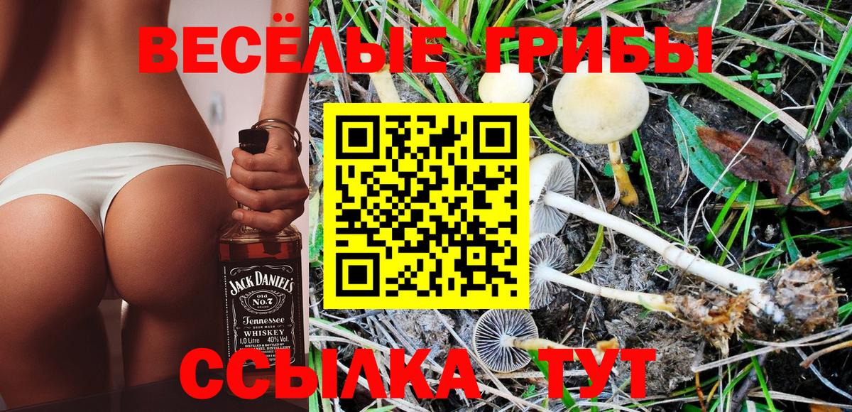 Псилоцибиновые грибы мицелий Севастополь